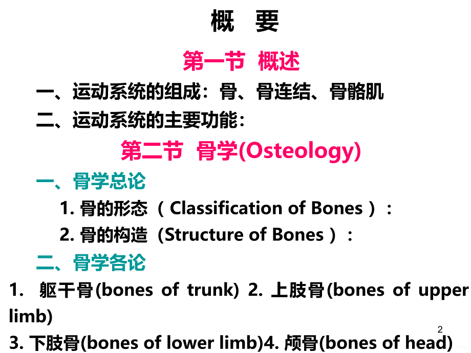 骨学总论PPT课件.ppt_第2页