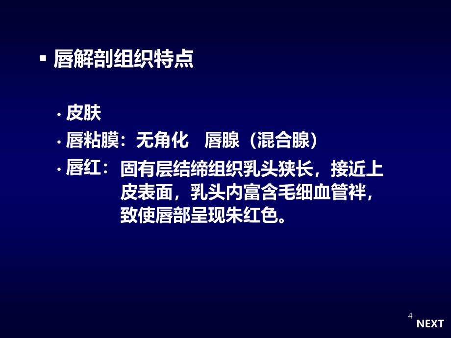 唇炎防治和健康PPT课件.ppt_第4页