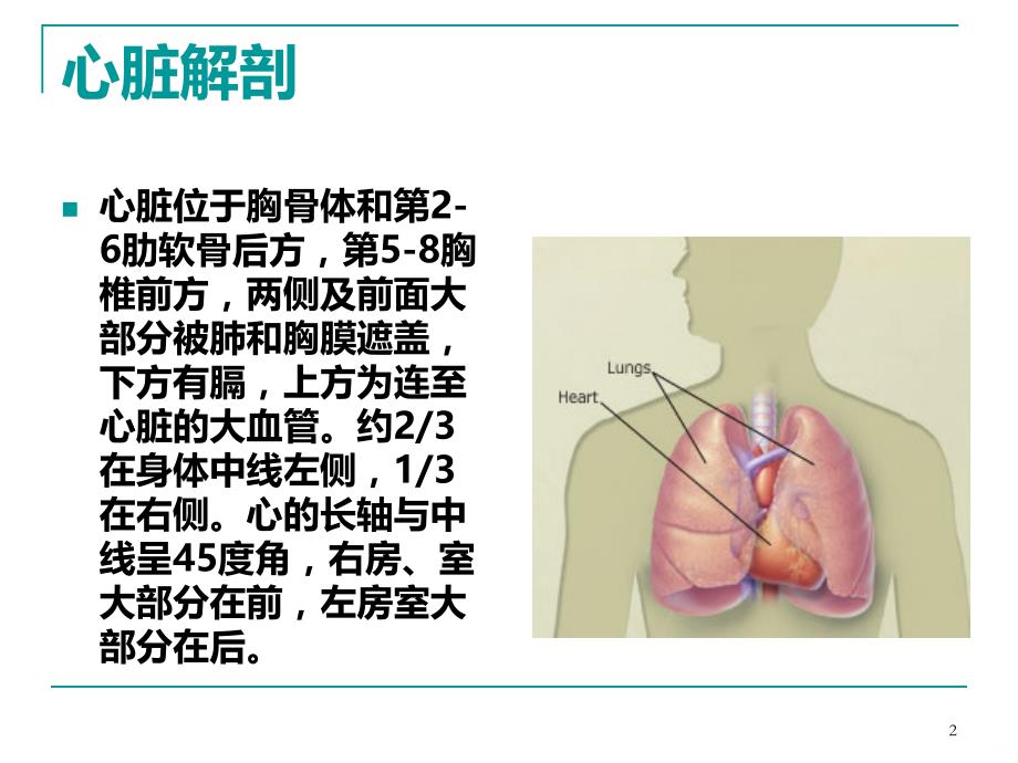 心脏检查最新PPT课件.ppt_第2页