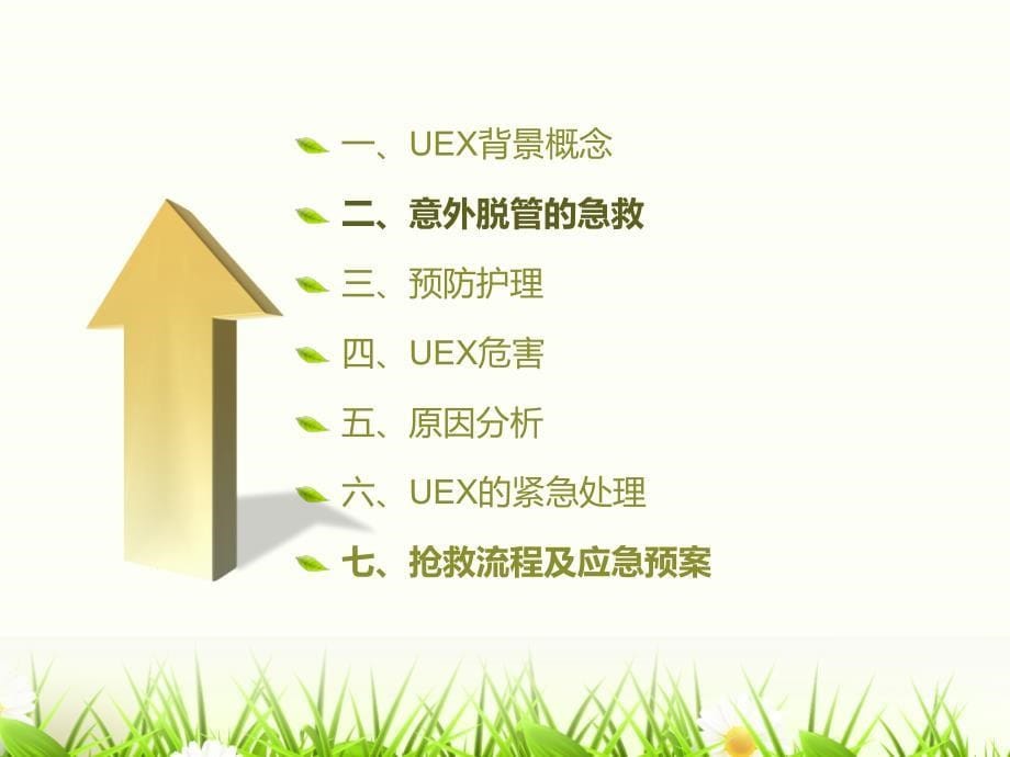 非计划性拔管的预防完整版本.ppt_第5页