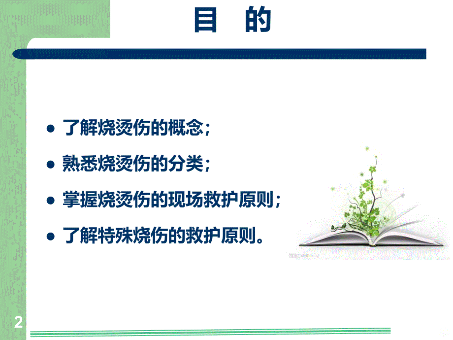 烧烫伤的院前急救PPT课件.ppt_第2页