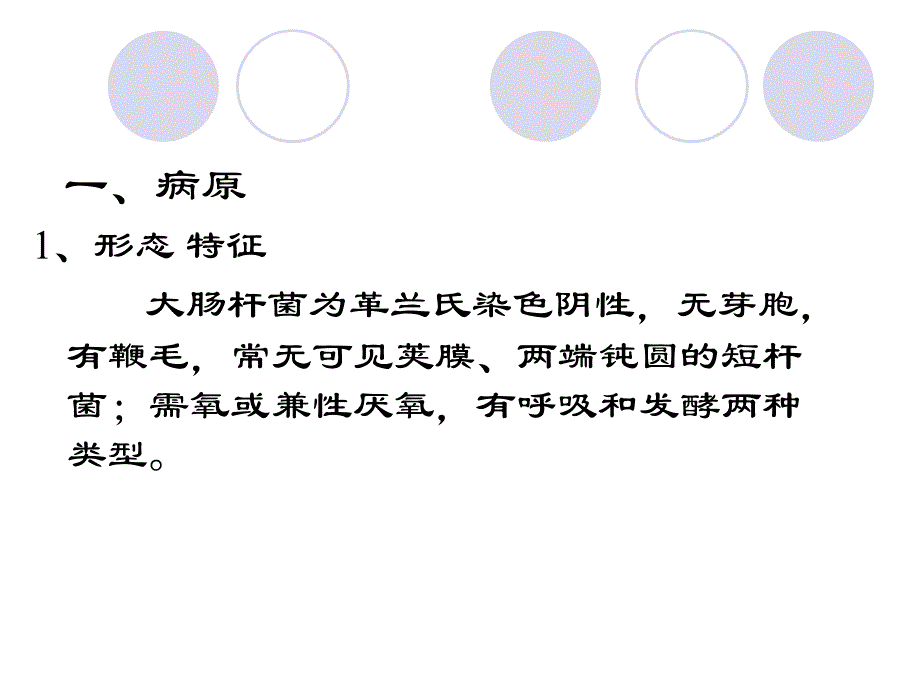 禽大肠杆菌病PPT课件.ppt_第4页