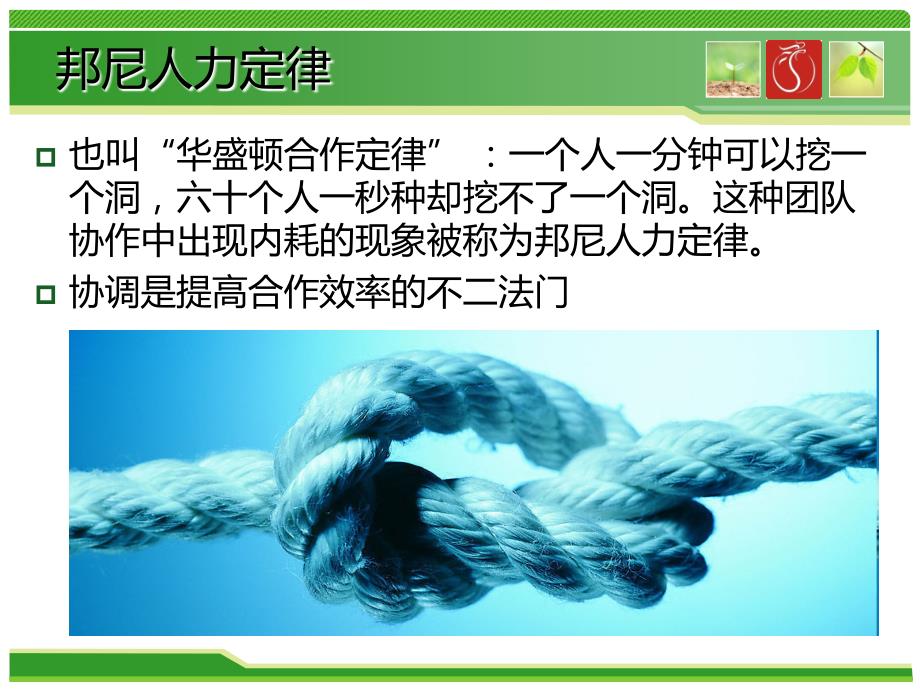 人力资源管理搞笑案例PPT课件.ppt_第3页