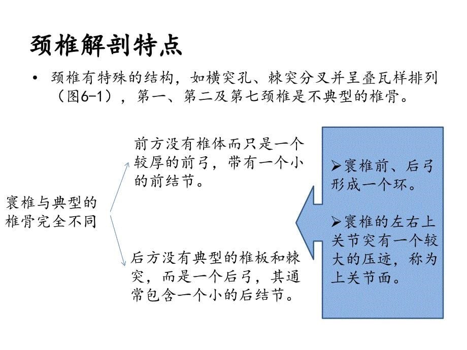 脊柱的解剖概要_第5页