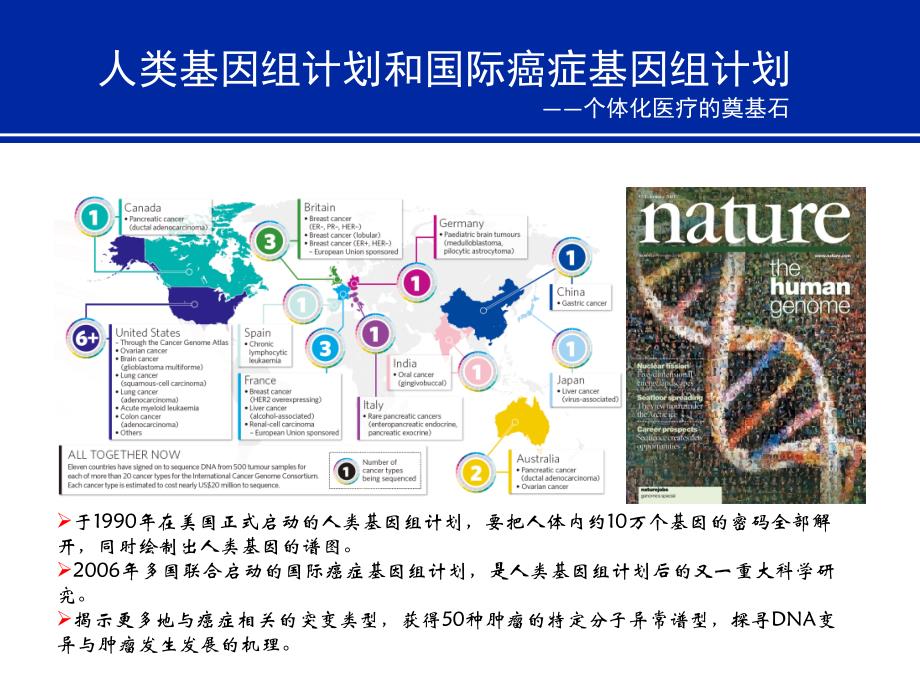 非小细胞肺癌基因检测PPT课件.ppt_第2页