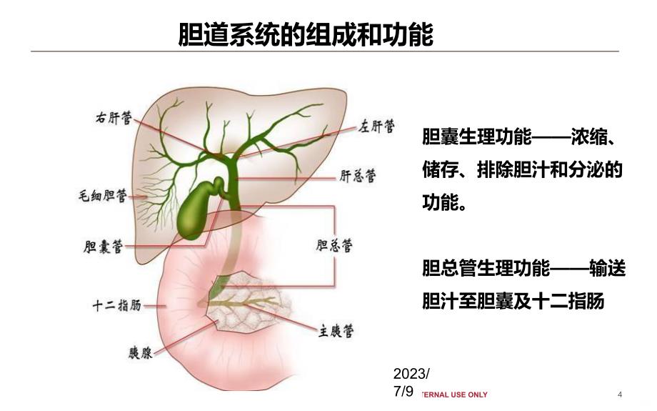 胆结石和泌尿系结石健康教育PPT课件.ppt_第4页