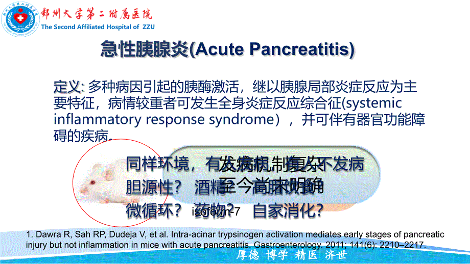 重症急性胰腺炎的综合治疗PPT课件.ppt_第4页