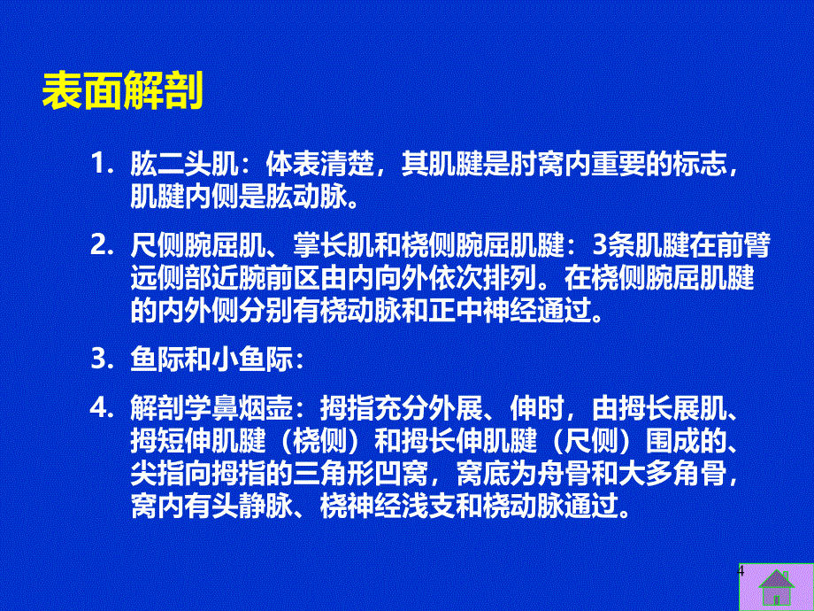 上肢解剖精品PPT课件.ppt_第4页