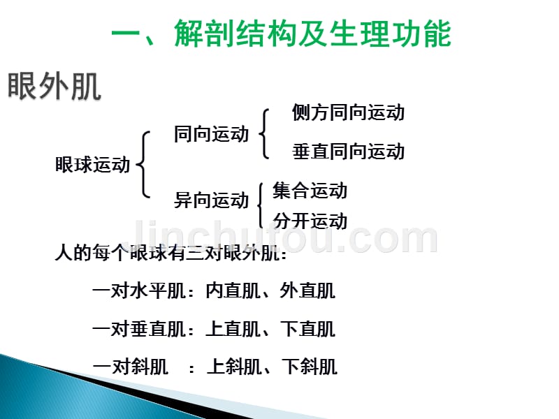 动眼、滑车、外展神经解剖PPT课件.ppt_第3页