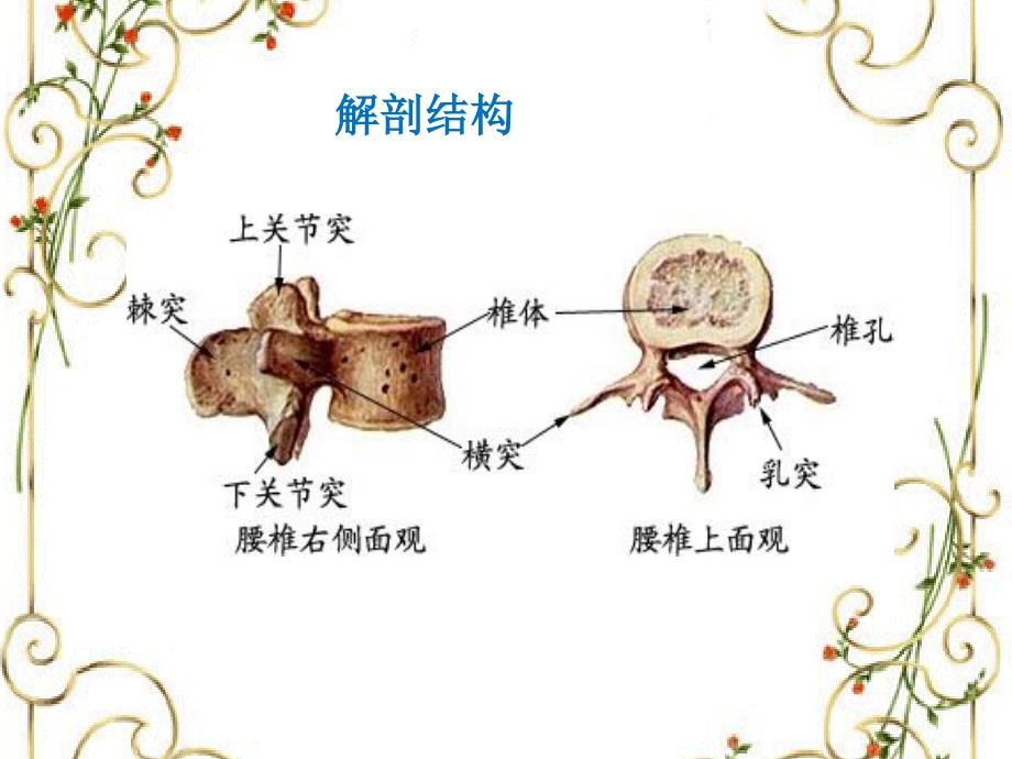 腰椎骨折护理查房 外科PPT课件.ppt_第4页