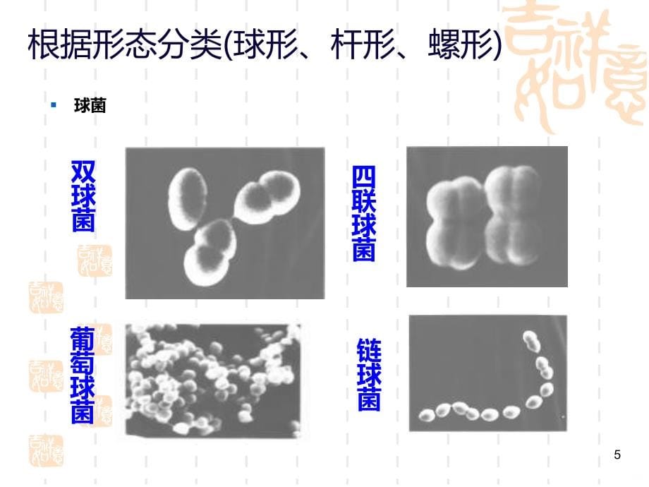 非处方药与家庭用药第四讲PPT课件.ppt_第5页