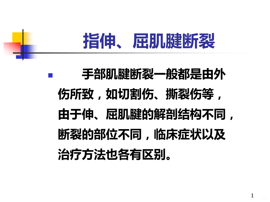 指伸屈肌腱断裂PPT课件.ppt_第1页