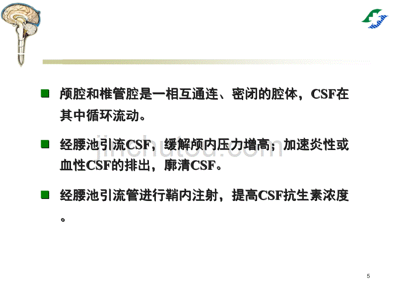 腰大池穿刺置管引流术专业ppt课件.ppt_第5页