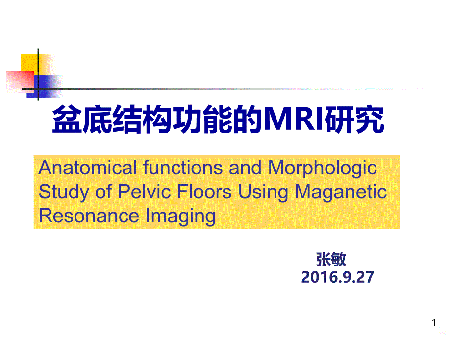 盆腔结构功能MRI研究PPT课件.ppt_第1页