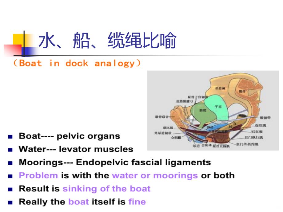 盆腔结构功能MRI研究PPT课件.ppt_第4页