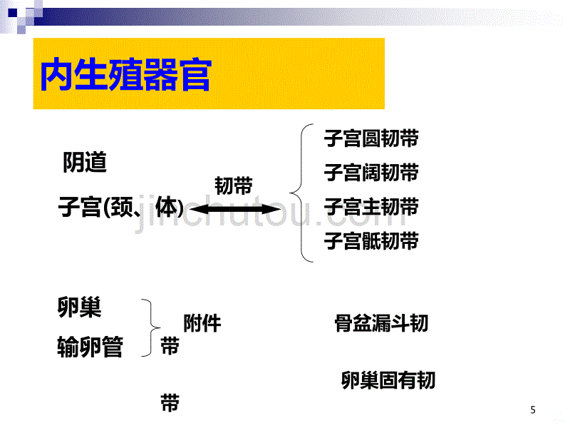 盆腔解剖终末版PPT课件.ppt_第5页