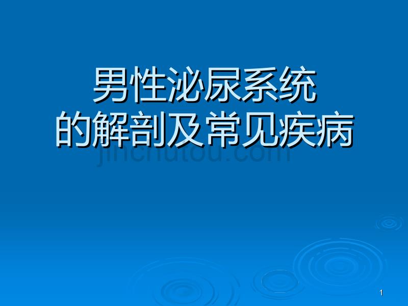 男性泌尿系统的解剖及常见病PPT课件.ppt_第1页