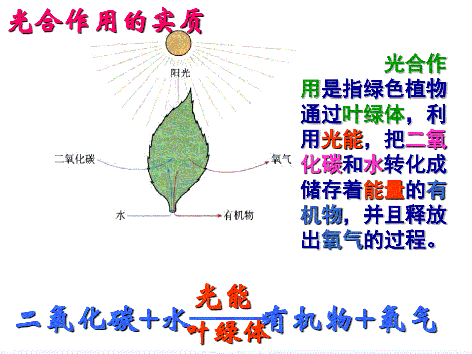 人教版七上《第六章 爱护植被绿化祖国》ppt课件_第1页