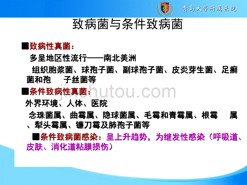 肺部真菌影像学诊断PPT专业课件.ppt_第4页