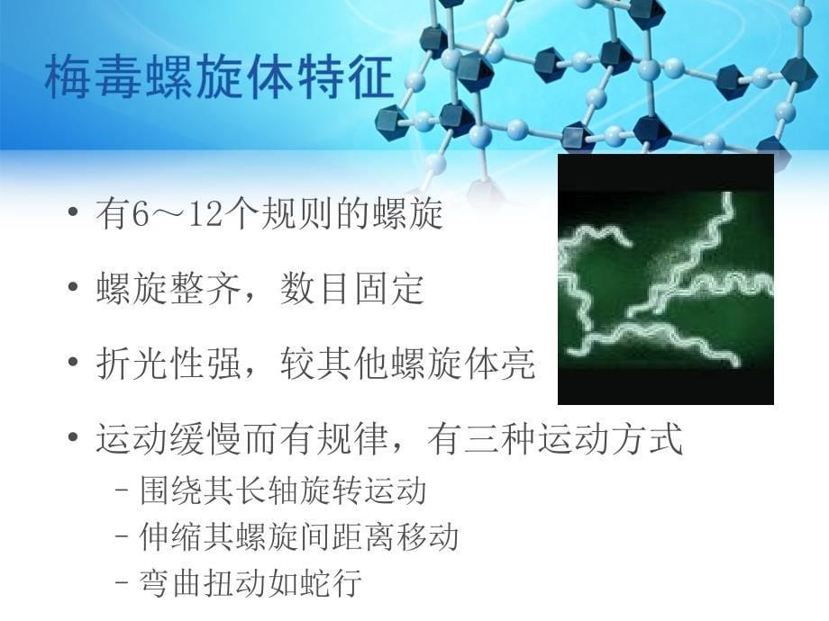 梅毒螺旋体实验室检验 (2)PPT课件.ppt_第5页