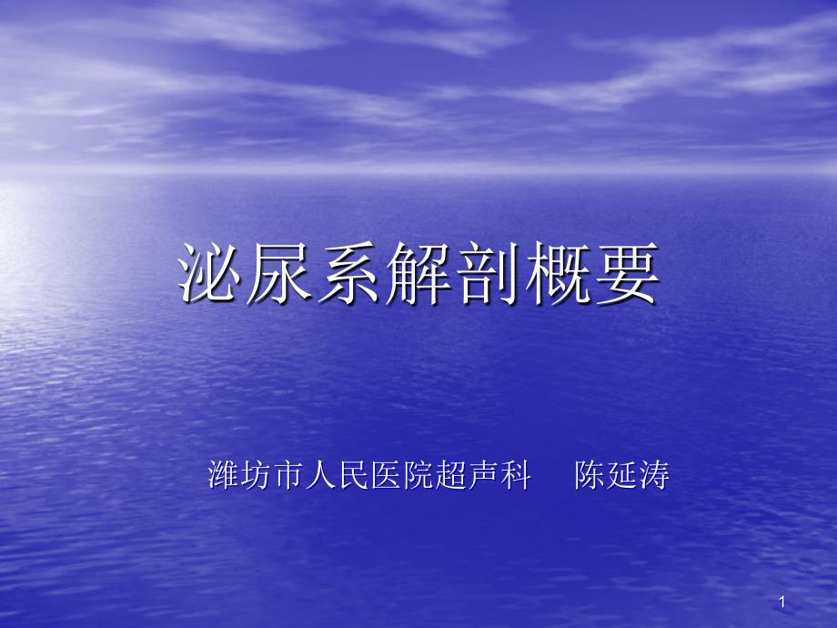 肾脏解剖概要PPT课件.ppt_第1页