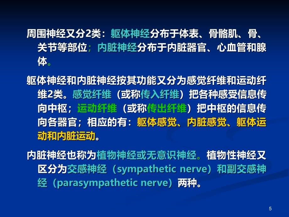 神经系统一般生理功能PPT课件.ppt_第5页