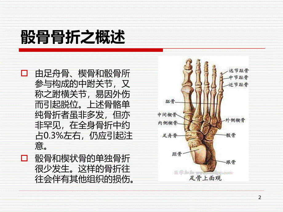 骰骨骨折PPT课件.ppt_第2页