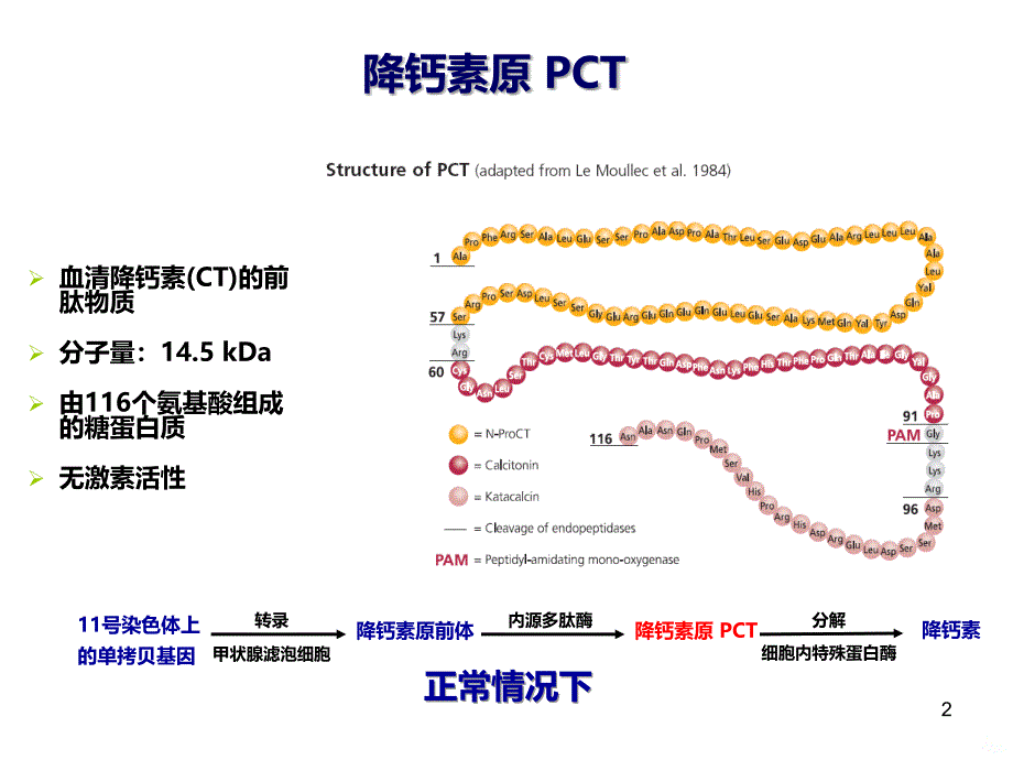 炎性指标和临床意义PPT课件.ppt_第2页