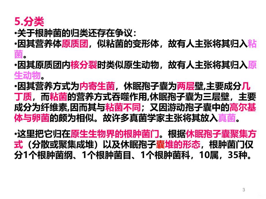 普通植物病理学根肿菌与卵菌PPT课件.ppt_第3页