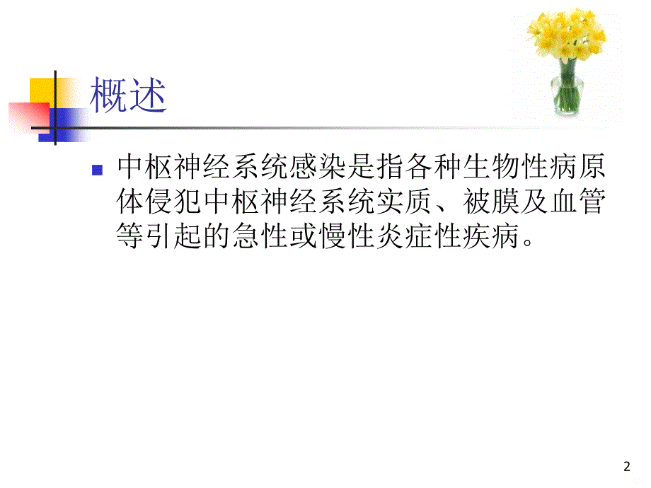 中枢神经系统感染患者的护理PPT课件.ppt_第2页