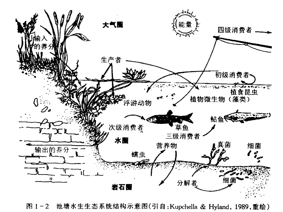 项目2生态学基础ppt课件.ppt_第4页