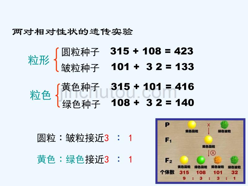 人教版必修二《孟德尔的豌豆杂交实验(二)》ppt课件2_第3页