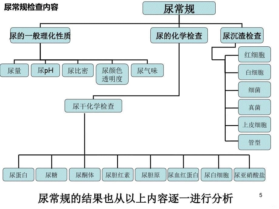 尿常规-浓缩教学大纲PPT课件.ppt_第5页