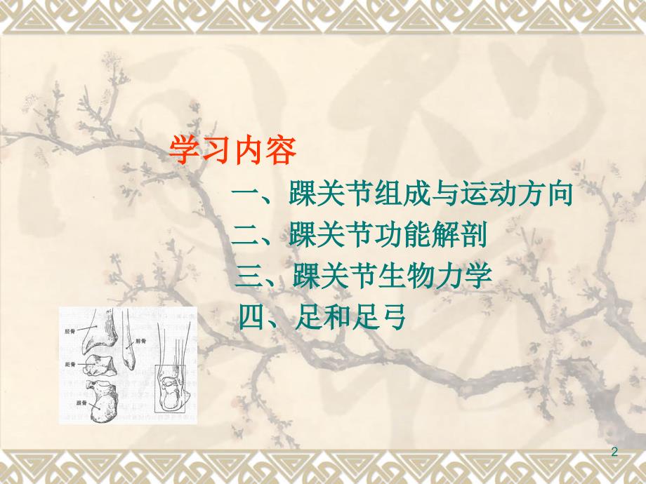 踝关节运动学PPT课件.ppt_第2页