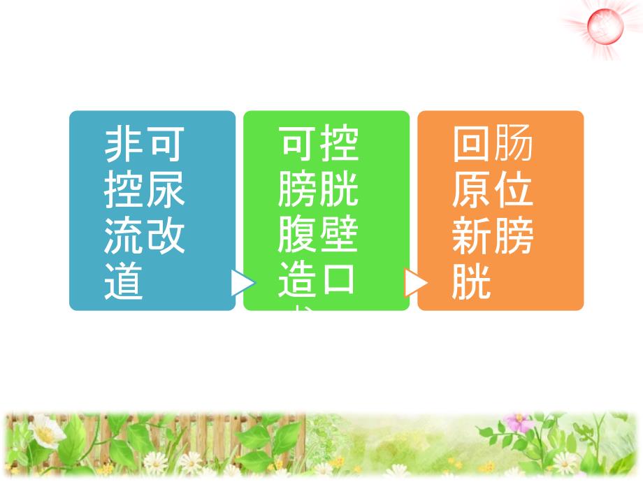 膀胱全切的护理PPT课件.ppt_第3页