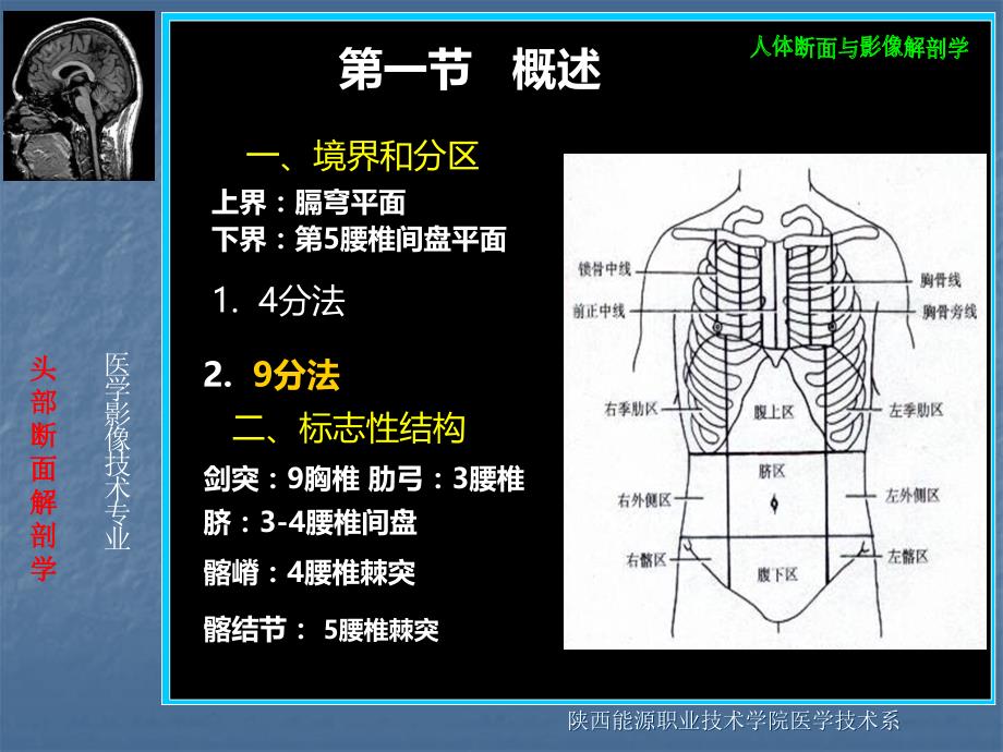 腹部断层解剖PPT课件.ppt_第3页