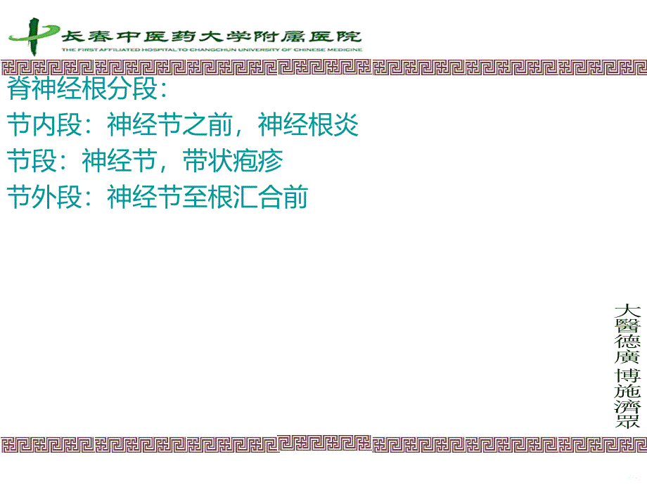 神经之颈丛PPT课件.ppt_第3页