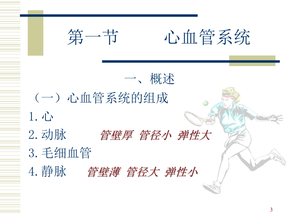 循环系统解剖专业ppt课件.ppt_第3页