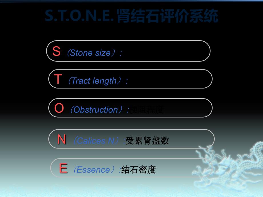 STONE评分系统PPT课件.ppt_第4页