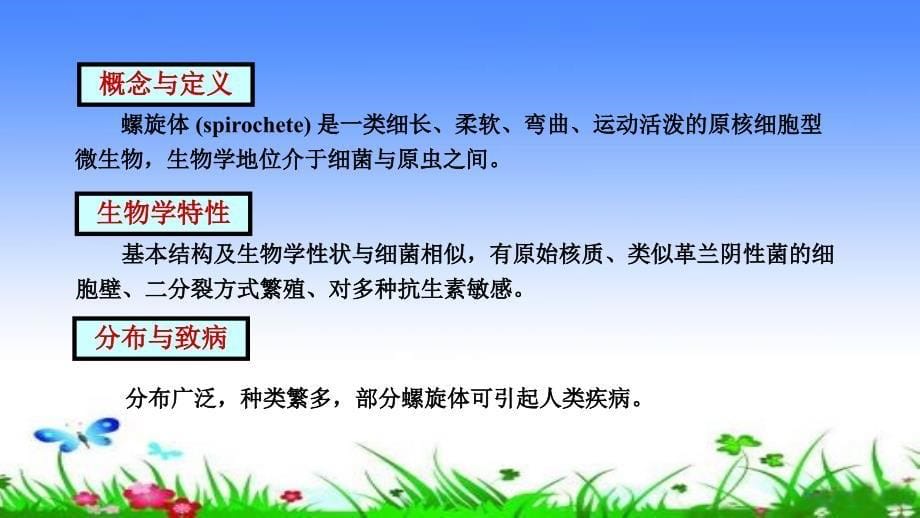 螺旋体-细菌学PPT课件.ppt_第5页