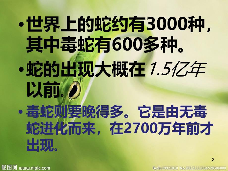 蛇的介绍PPT课件.ppt_第2页