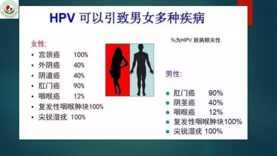 人类乳头瘤与男性生殖关系PPT课件.ppt_第5页