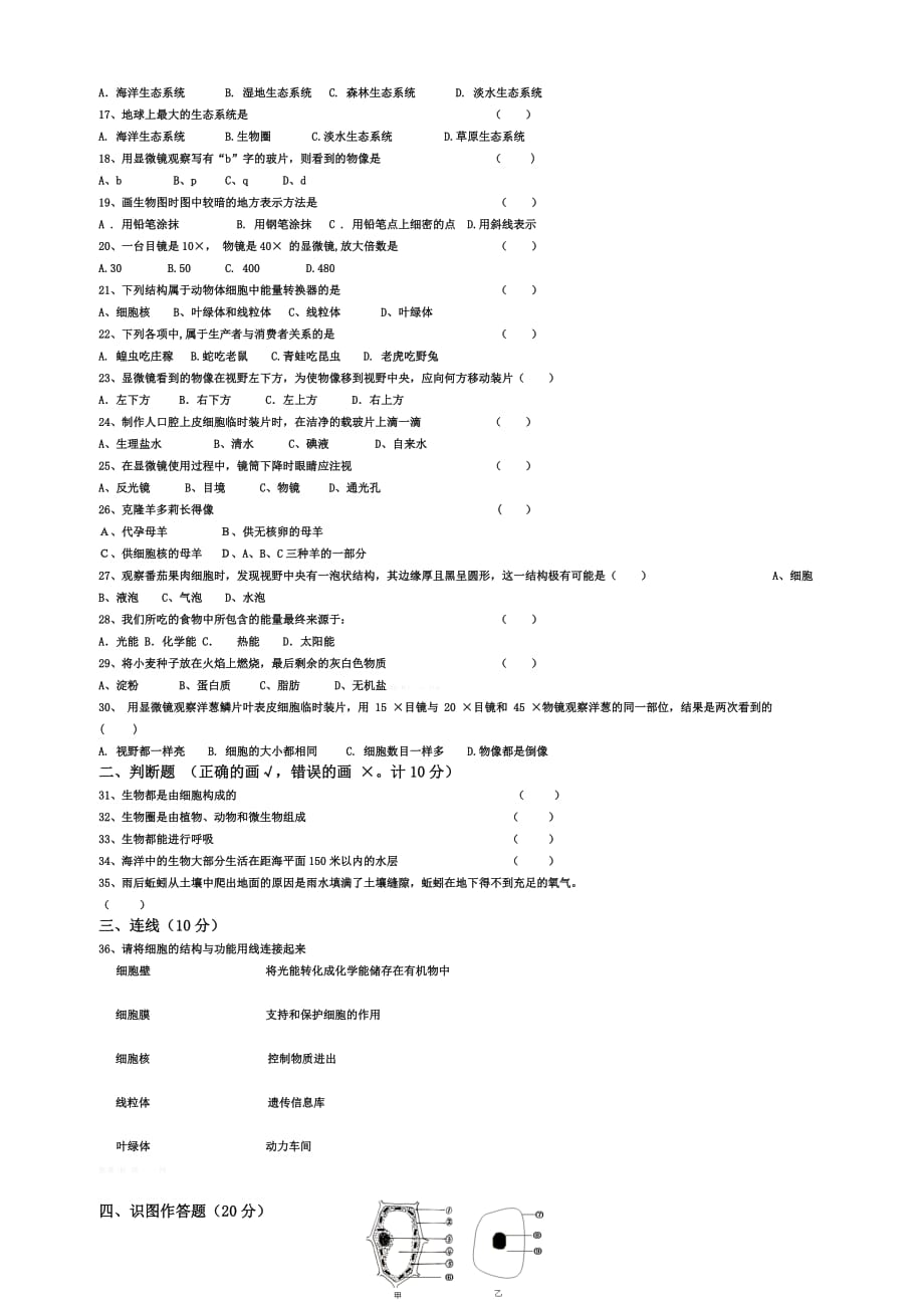 人教版七年级上期中测试卷.doc_第2页