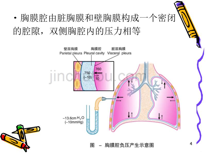 胸膜腔闭式引流术的护理PPT课件.ppt_第4页
