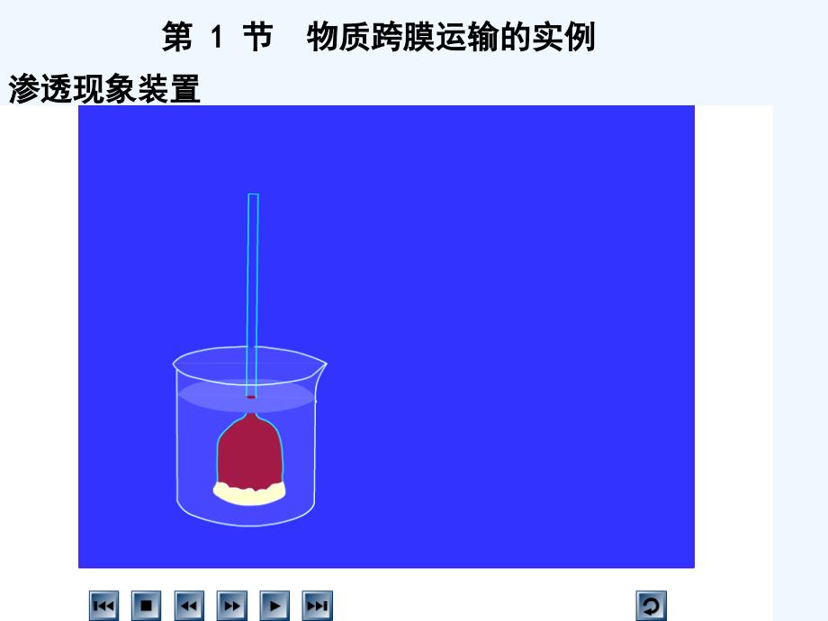 人教版必修一《物质跨膜运输的实例》ppt课件_第2页