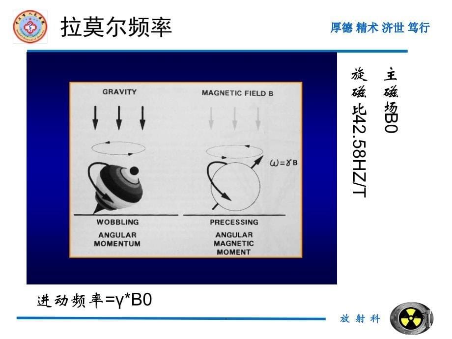 MRI基础原理及临床应用PPT课件.ppt_第5页