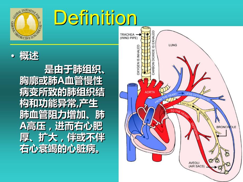 肺心病诊断及治疗PPT课件.ppt_第3页