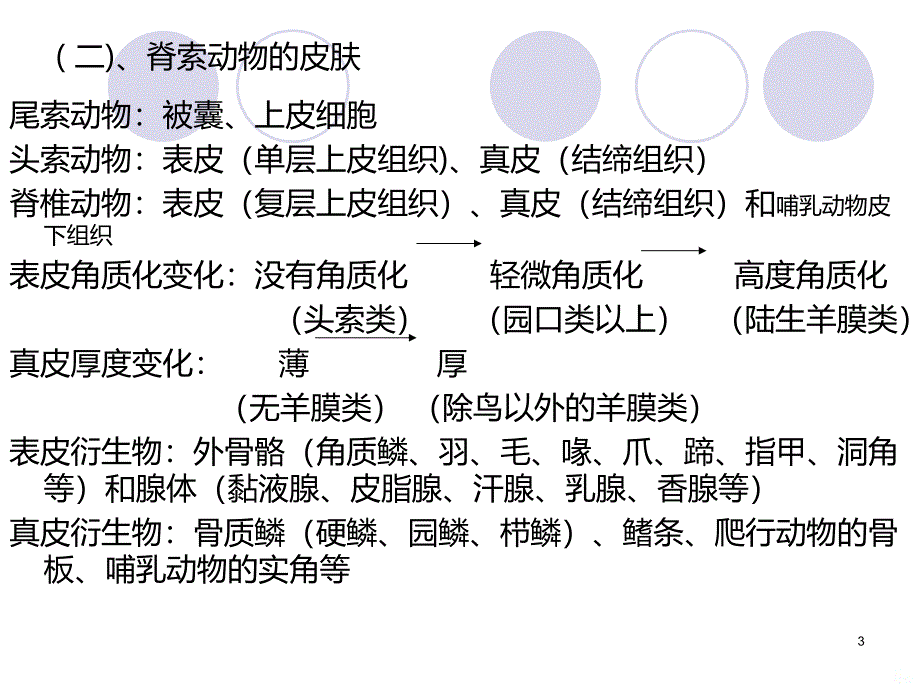 动物的器官和系统PPT课件.ppt_第3页