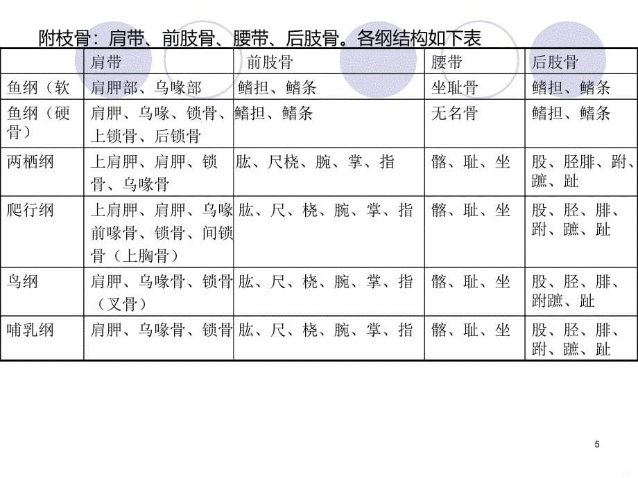 动物的器官和系统PPT课件.ppt_第5页