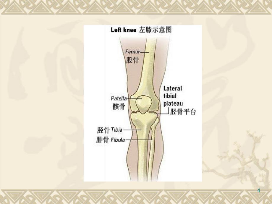 胫骨手术配合PPT课件.ppt_第4页